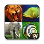 animals encyclopedia android application logo